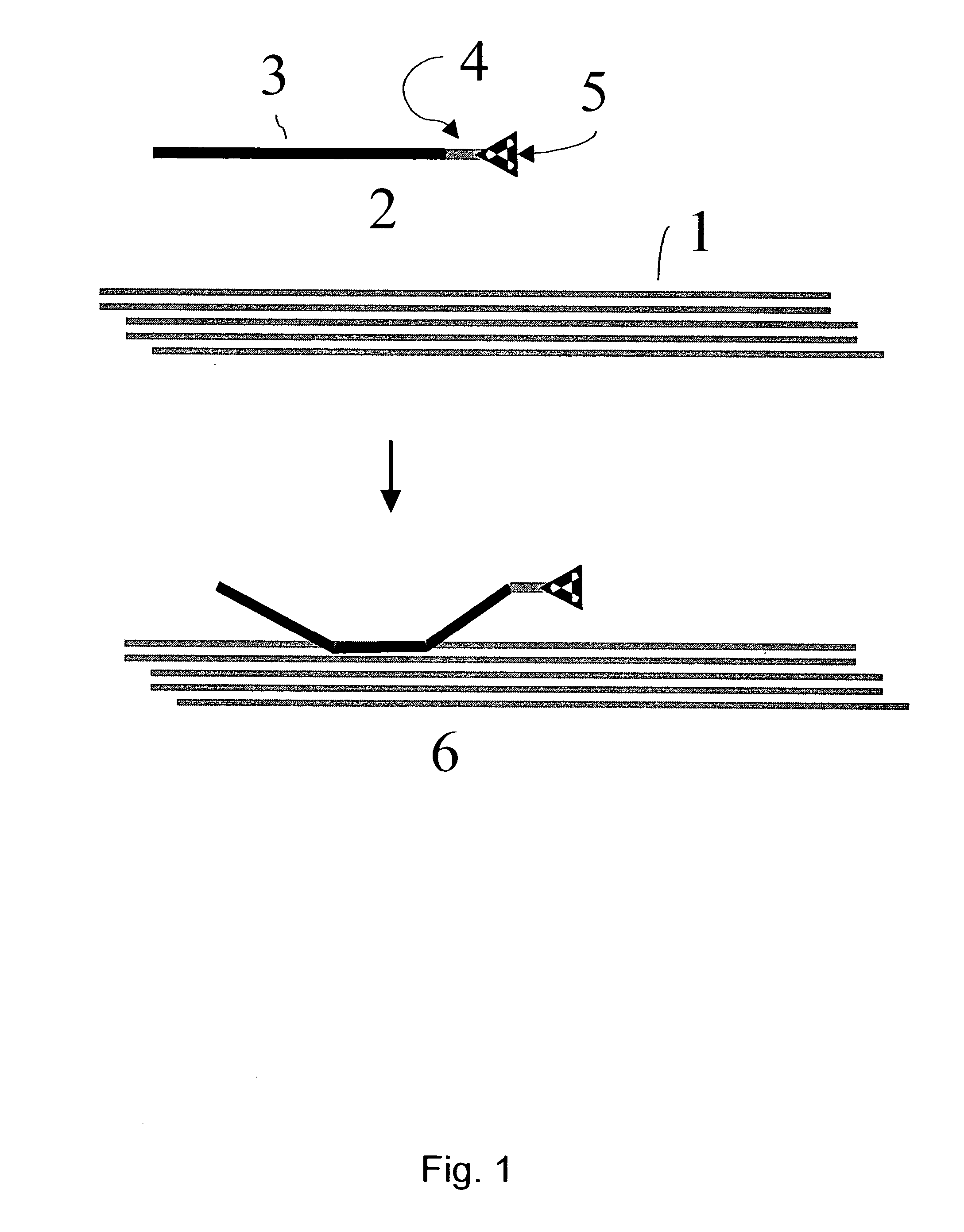 Mehtod for the modification of polymeric carbohydrate materials