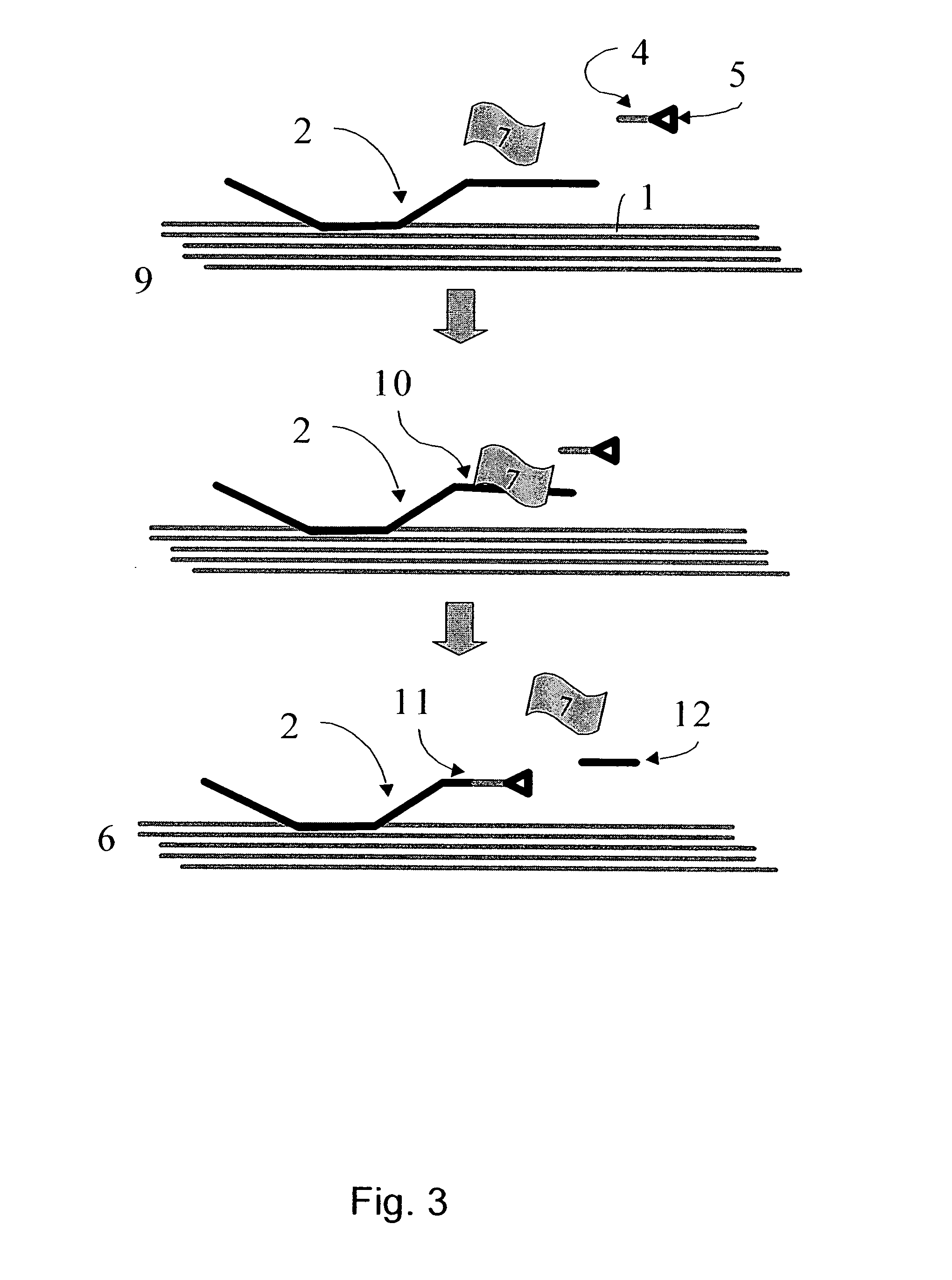 Mehtod for the modification of polymeric carbohydrate materials