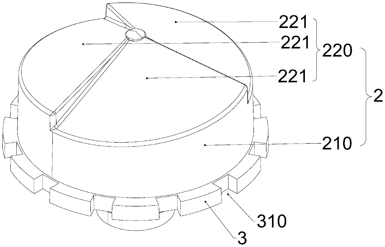 Particle medicine leakage medicine device