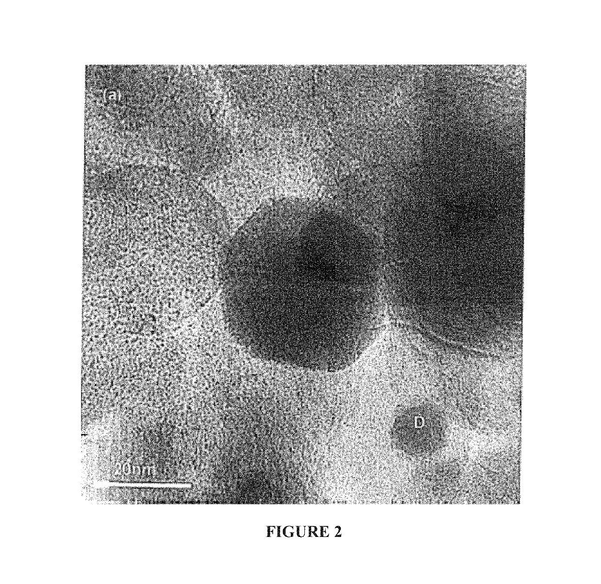 Composition comprising nucleated nanodiamond particles