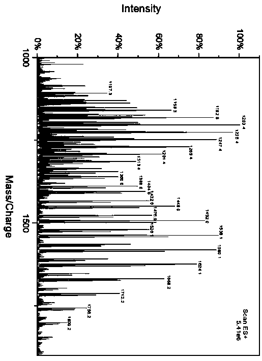 Developer composition used in fields of flat panel display and semiconductors