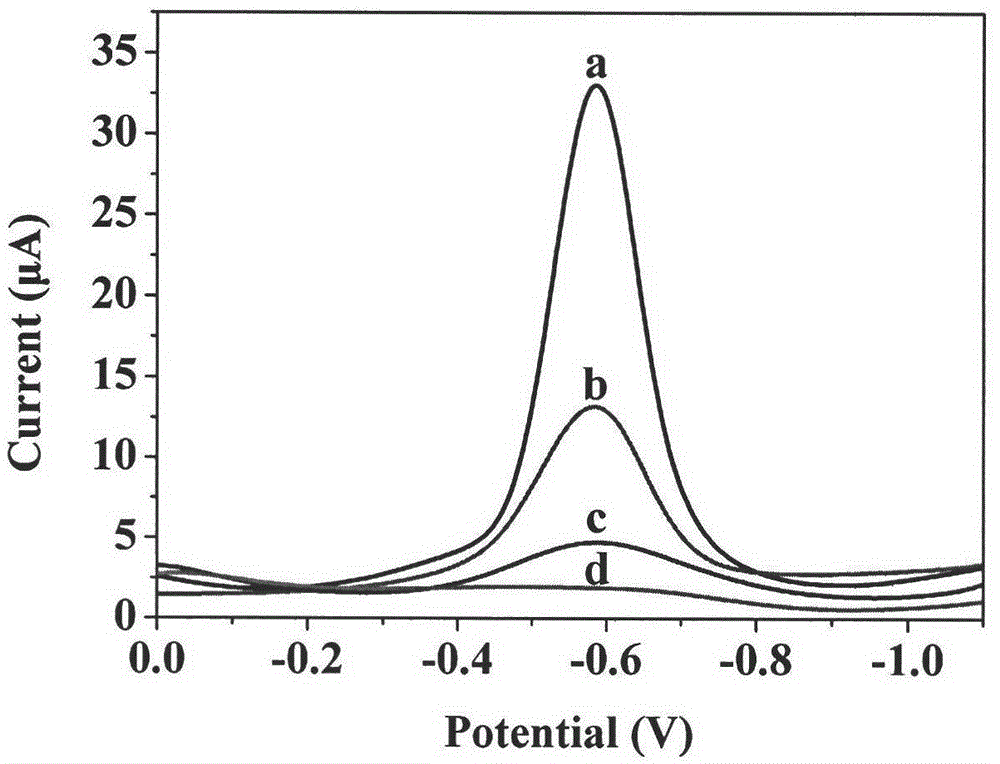 Electrochemical sensor based on graphene molecular imprinting material, and preparation method thereof