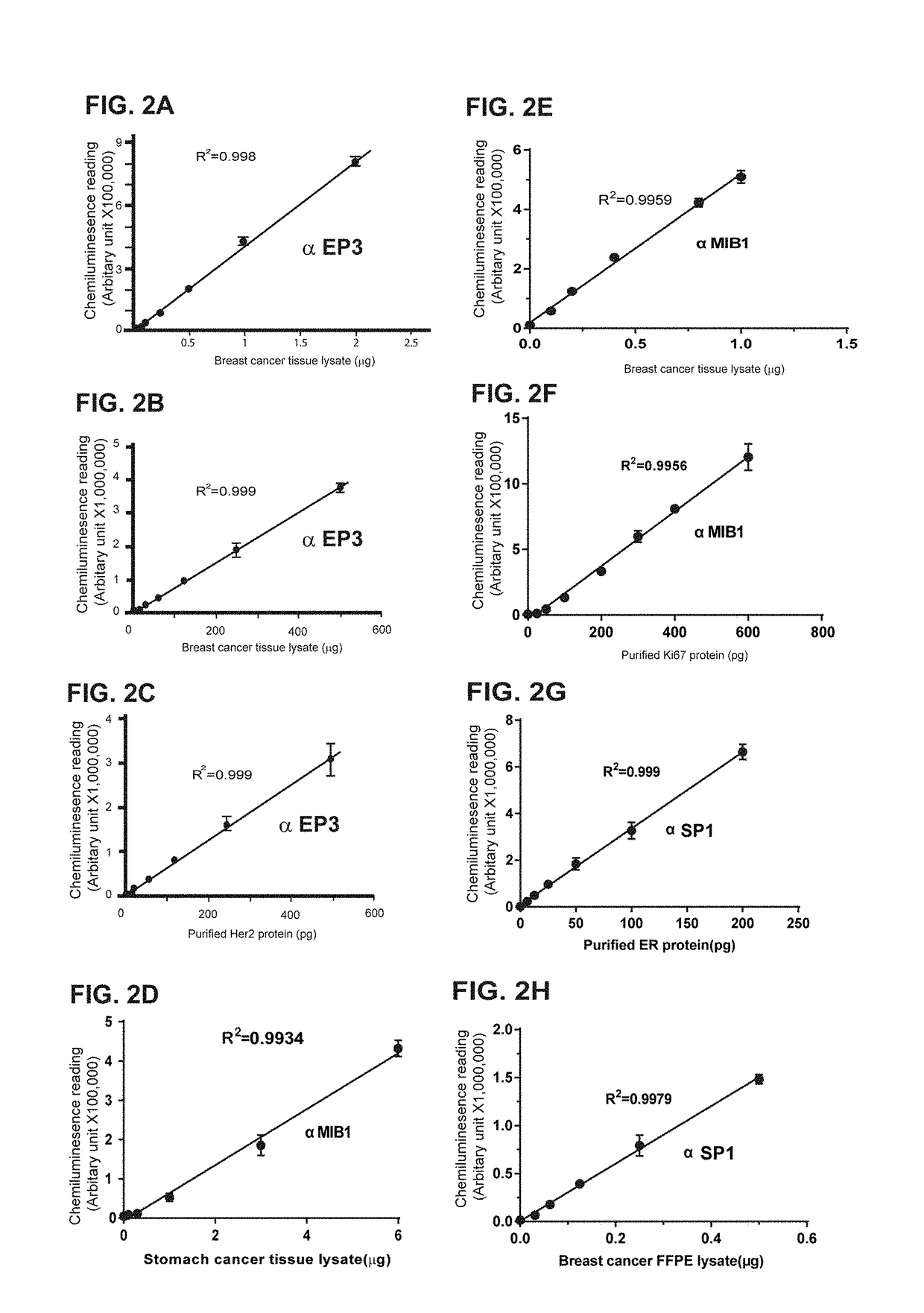 Apparatus and method for absolute quantification of biomarkers for solid tumor diagnosis