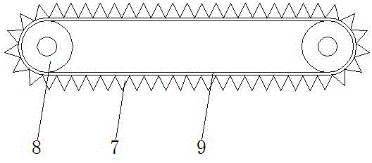 Conveying device of vegetable harvesting machine