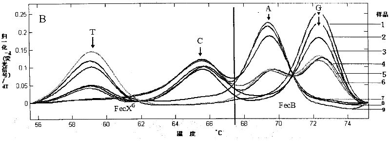 Kit for detecting reproductive capacity of sheep and using method thereof