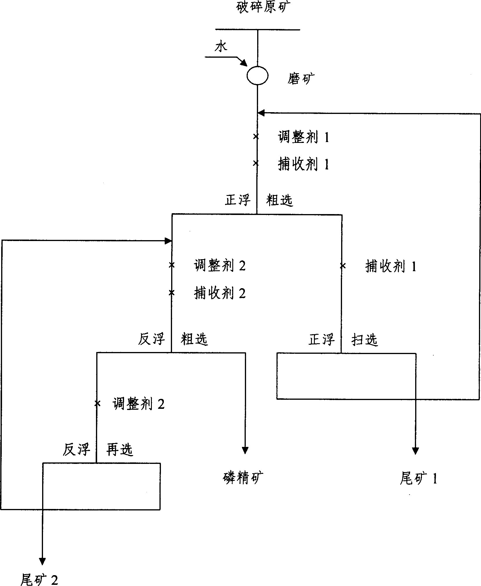 Collophanite direct flotation and reverse flotation technique