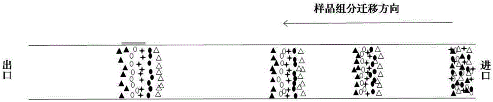 Device for improving peak capacity of capillary electrophoresis through capillary electrophoresis two-step speed difference mode