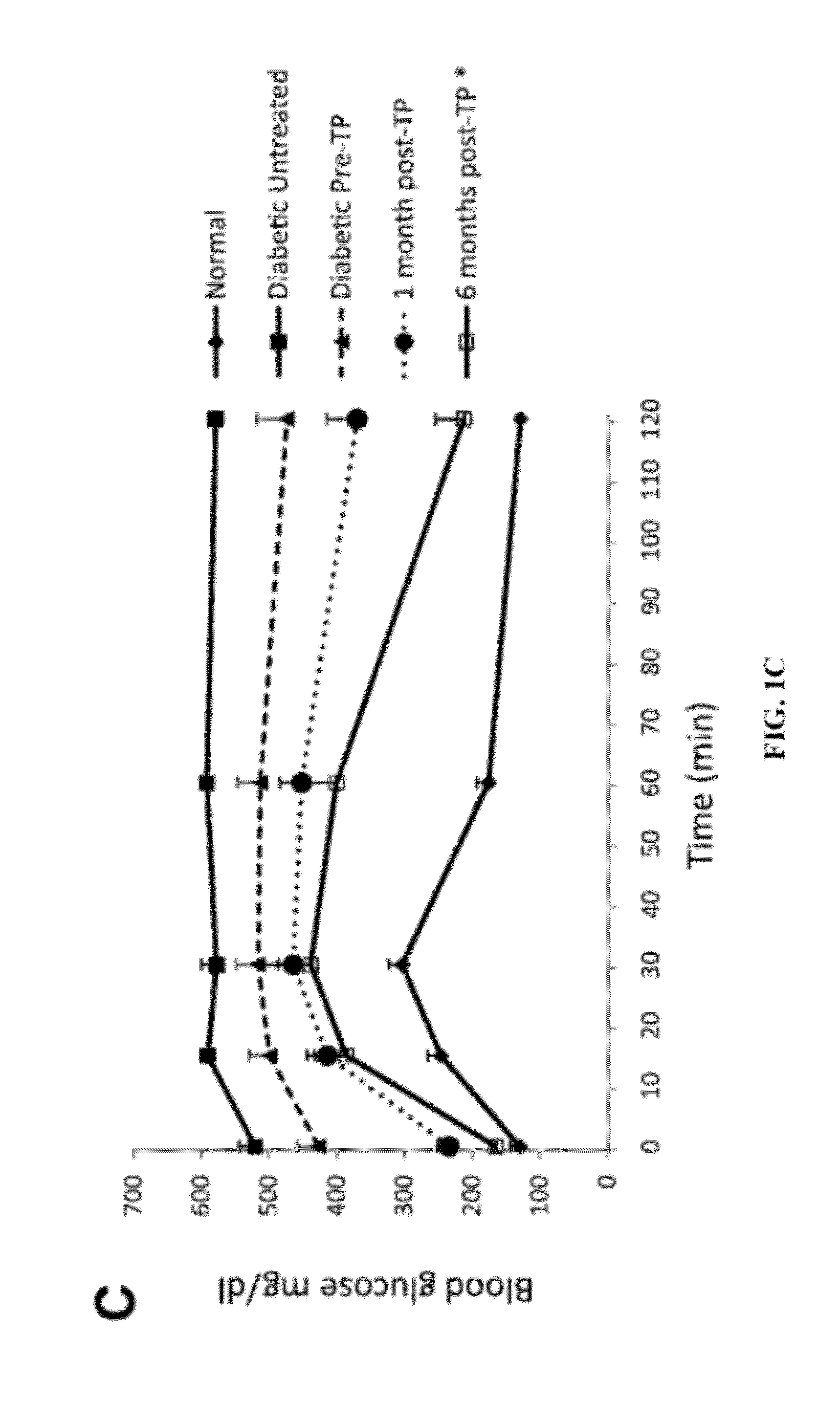 Methods For Treating Type Diabetes With Brown Adipose Transplants