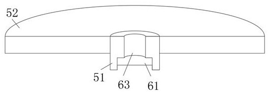 System and device for sending ophthalmic examination image to remote expert