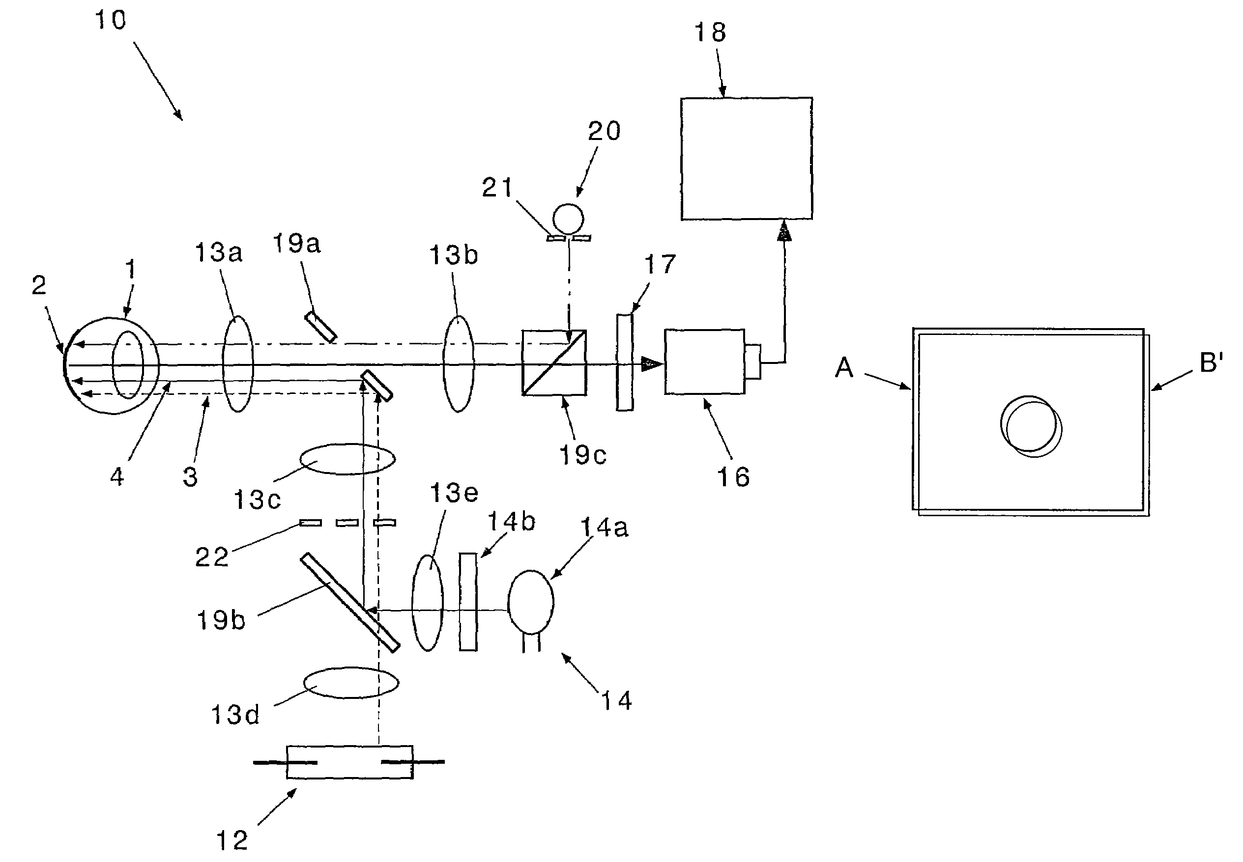 Method and apparatus for optical imaging of retinal function