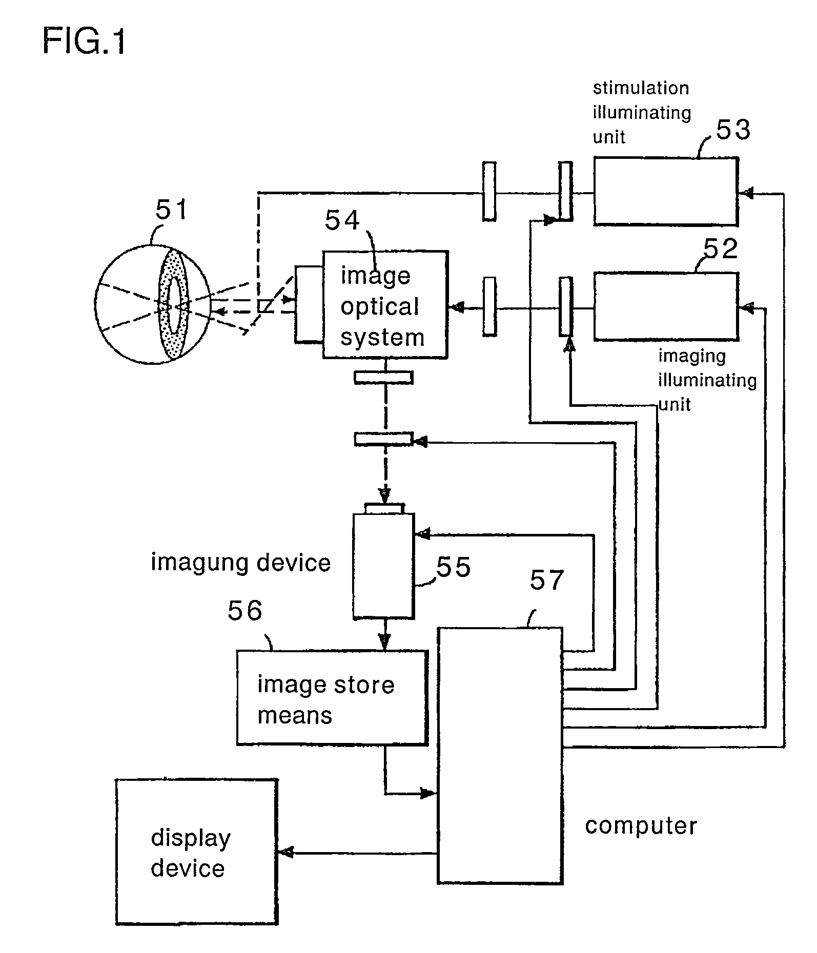 Method and apparatus for optical imaging of retinal function