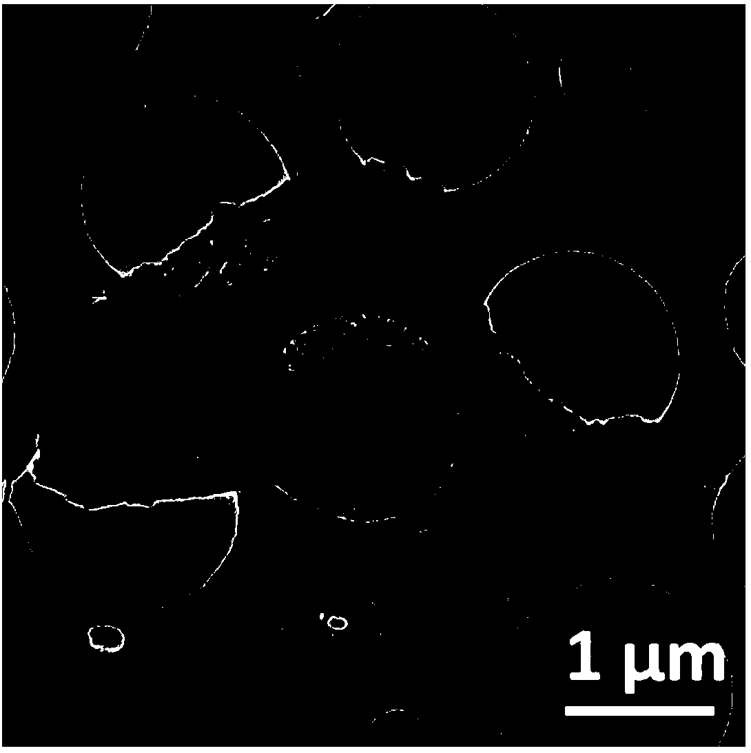 Sulfur/nitrogen co-doped graphene and preparation method thereof