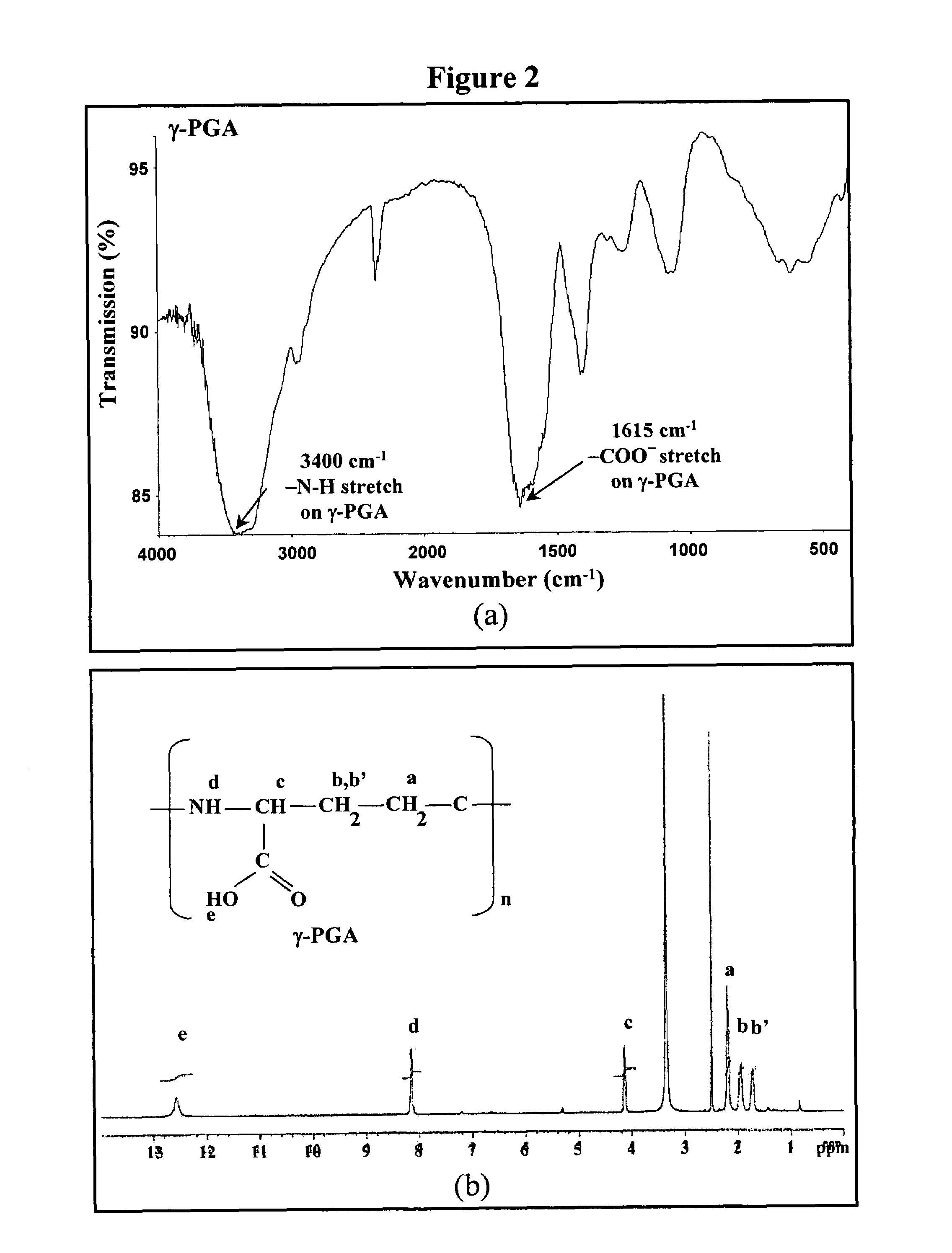 Nanoparticles for paracellular drug delivery