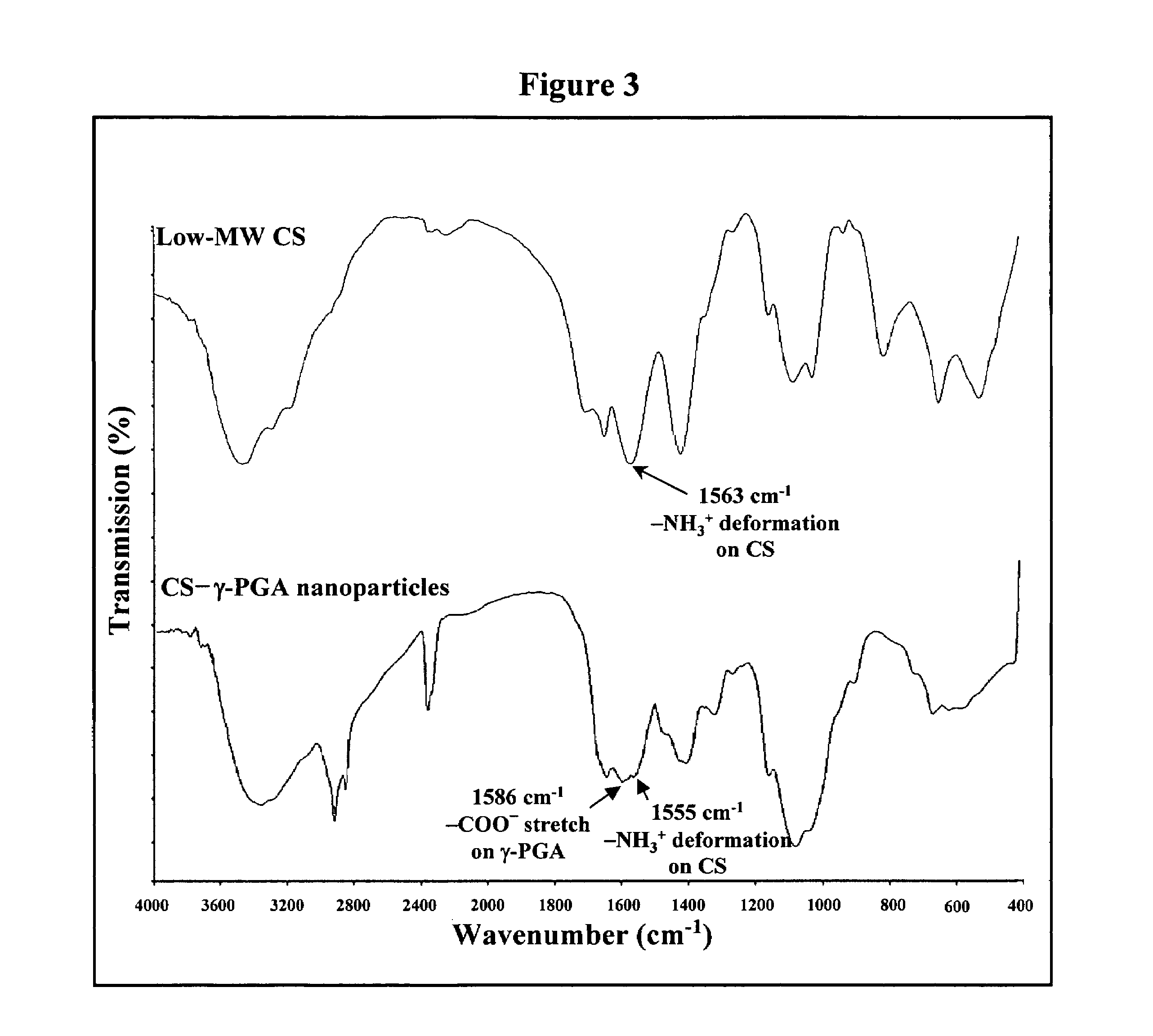 Nanoparticles for paracellular drug delivery