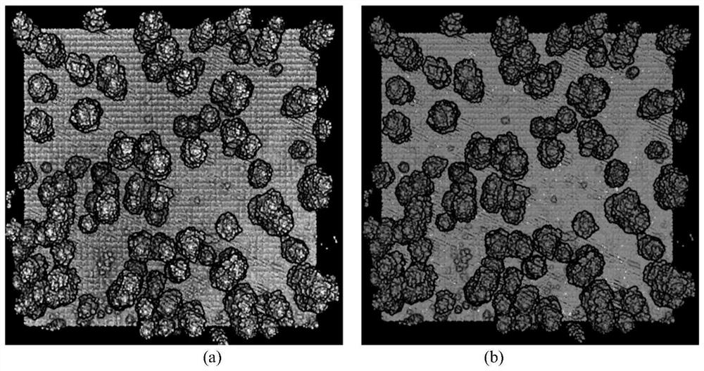 DBI tree vertex detection method for airborne lidar point cloud data chm