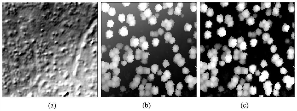 DBI tree vertex detection method for airborne lidar point cloud data chm