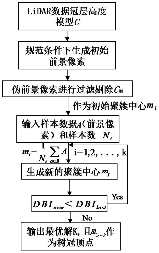 DBI tree vertex detection method for airborne lidar point cloud data chm