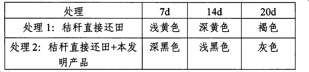 Functional organic material decomposing agent and preparation method thereof