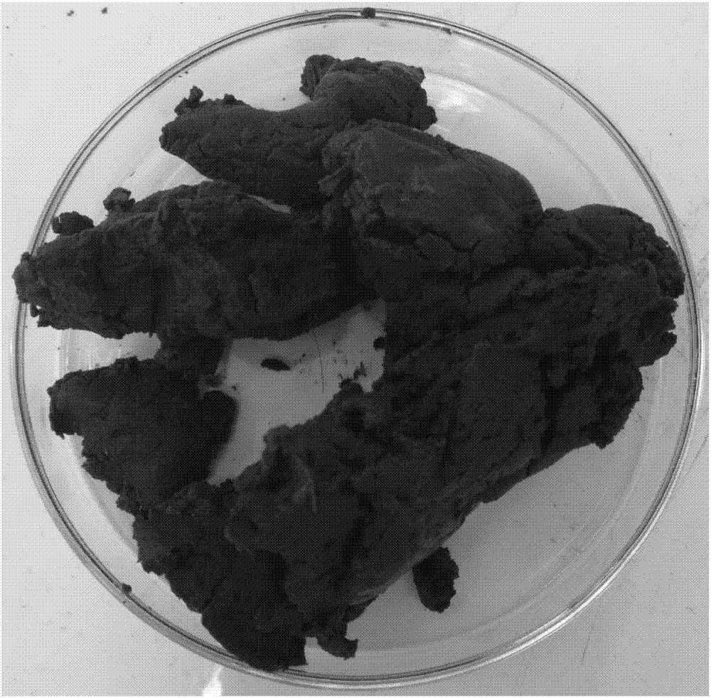 Organic bacterium fertilizer taking sludge as raw material and preparation method thereof