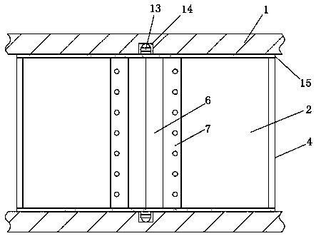 Radiation-proof door for medical radiology department