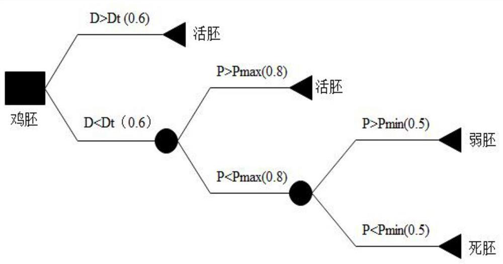 A detection method for the survival status of chicken embryos based on the frequency characteristics of absorption spectrum