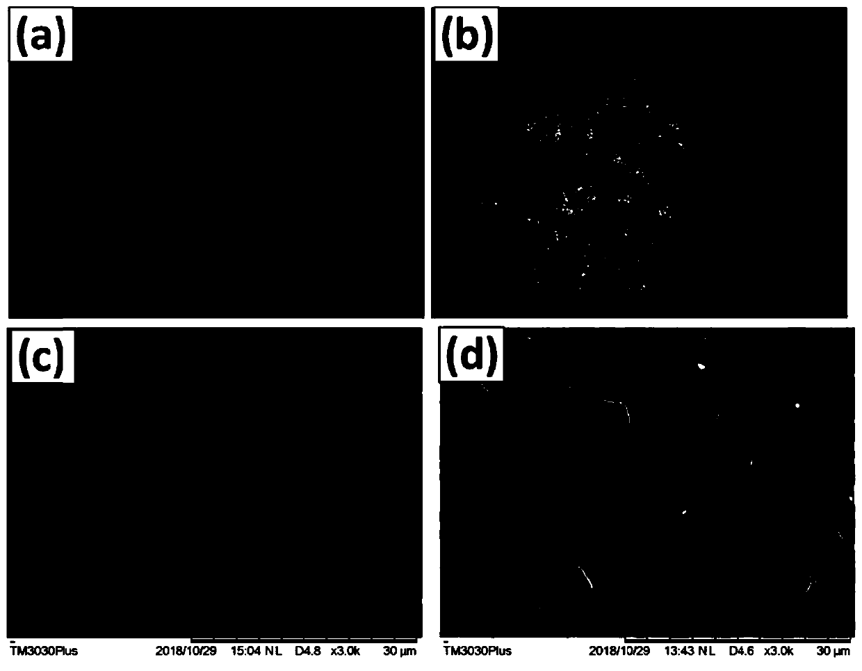 All-solid-state lithium metal-sulfur battery and preparation method thereof