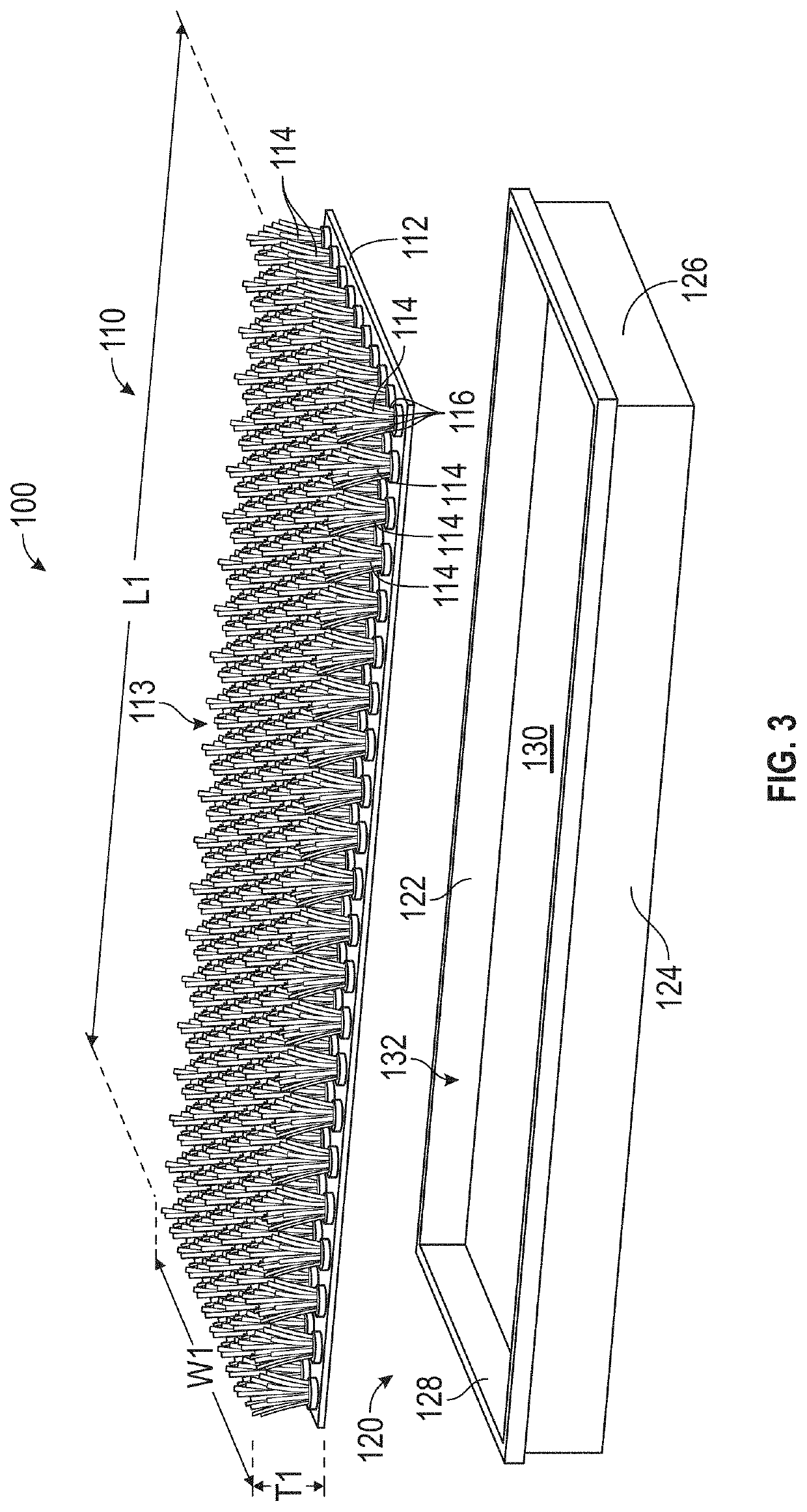 Systems and methods for cleaning an animal's foot