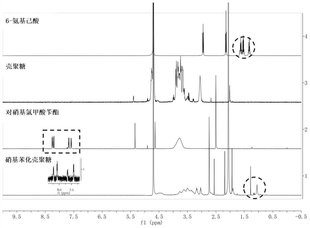 Hypoxia sensitive nitrobenzene chitosan and its preparation and application