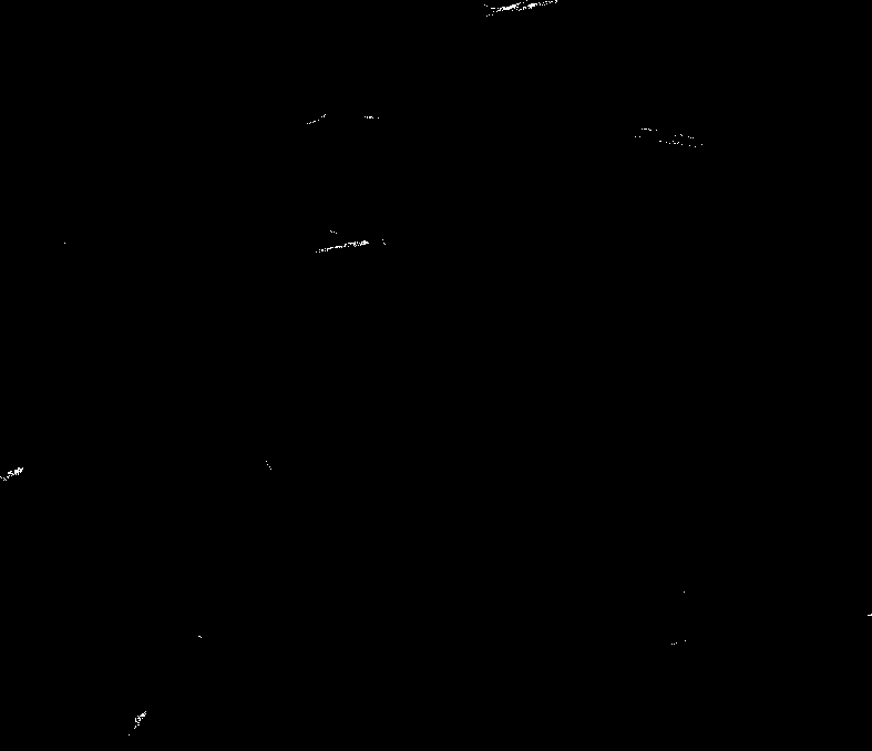 Coal mine early strength type low-cost filling material and preparation method thereof