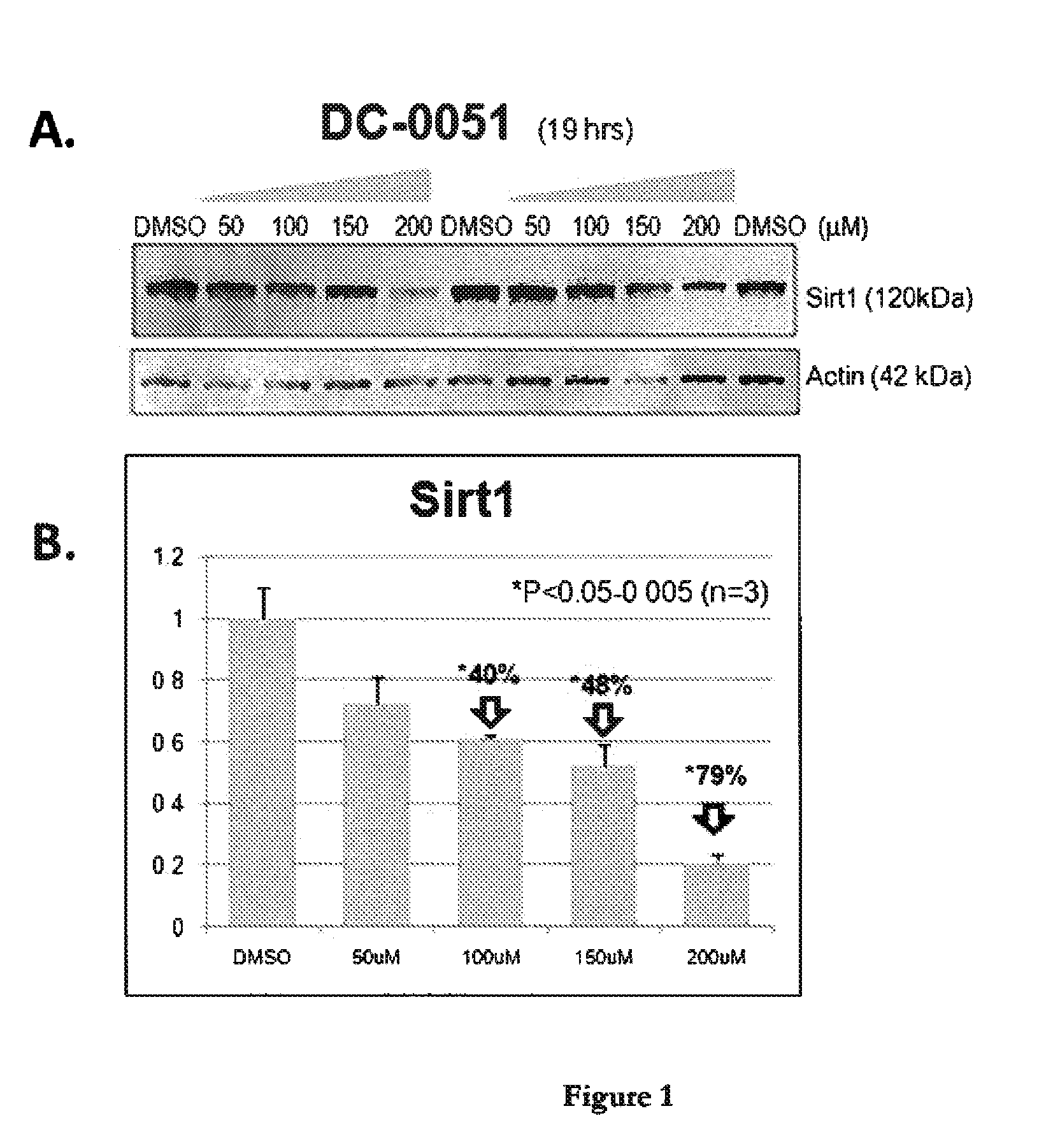 Sirtuin 1 and the treatment of neurodegenerative diseases