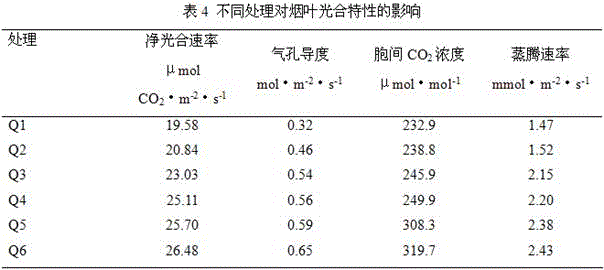 Special composite microbial fertilizer with functions of strengthening seedlings and promoting roots for tobaccos, and preparation method thereof