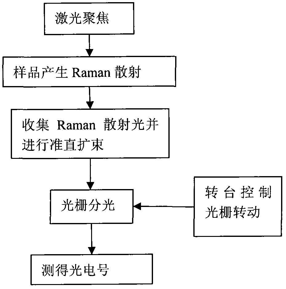 Raman optical spectrum detecting system