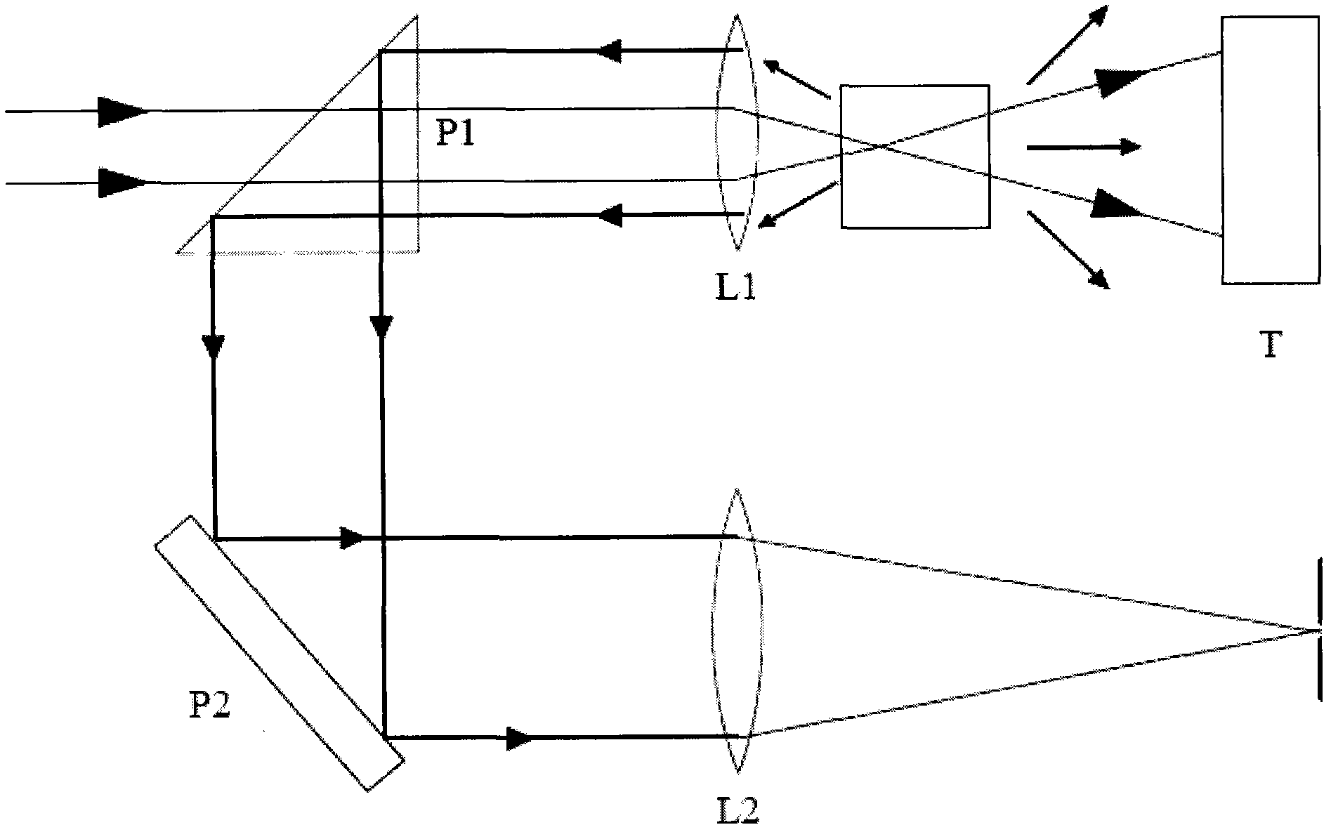 Raman optical spectrum detecting system