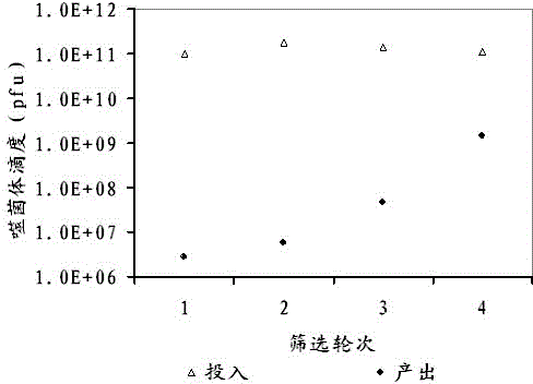 Preparation method of peptide ligand for non-competitive detection of water-soluble pesticide residues