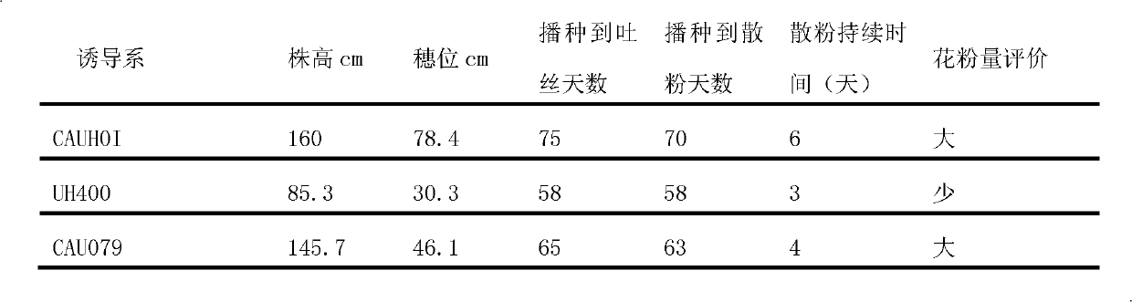 Method for inducing corn haploid