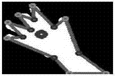 Finger Gesture Recognition Method Based on Depth-of-Field Image