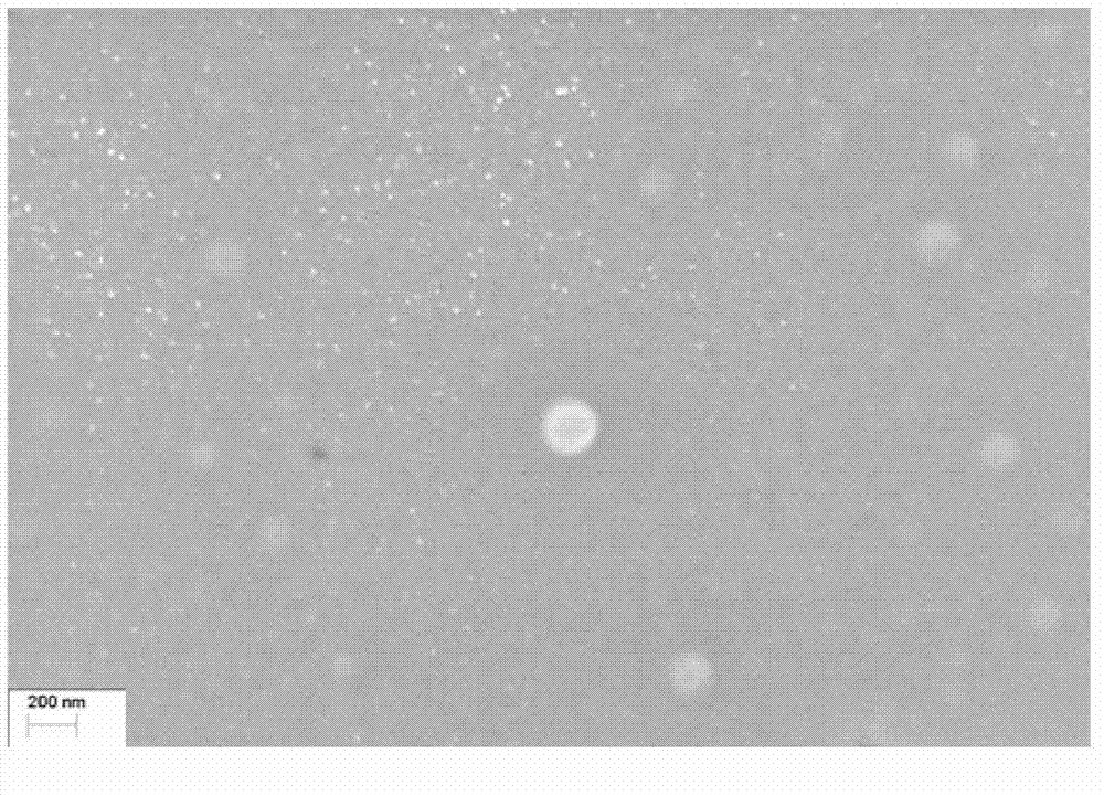 Cabazitaxel drug composition and preparation method thereof