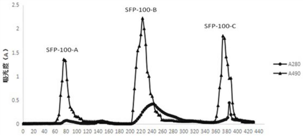 Sophora flavescens polysaccharide, its preparation method and liver protection and immune regulation application