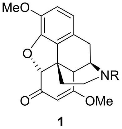 Thebaine derivative as well as preparation method and application thereof