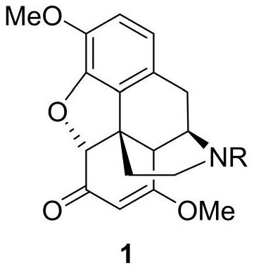 Thebaine derivative as well as preparation method and application thereof