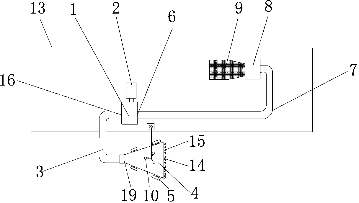 Device and method for collecting Enteromorpha