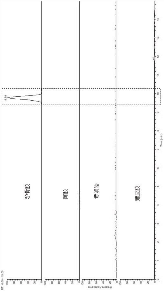 Application of a donkey bone glue characteristic polypeptide in detecting donkey bone glue components in animal hide glue and its products