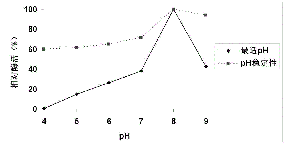 Pistacia lentiscus seed lipase-producing endophyte PC1 and separation method thereof