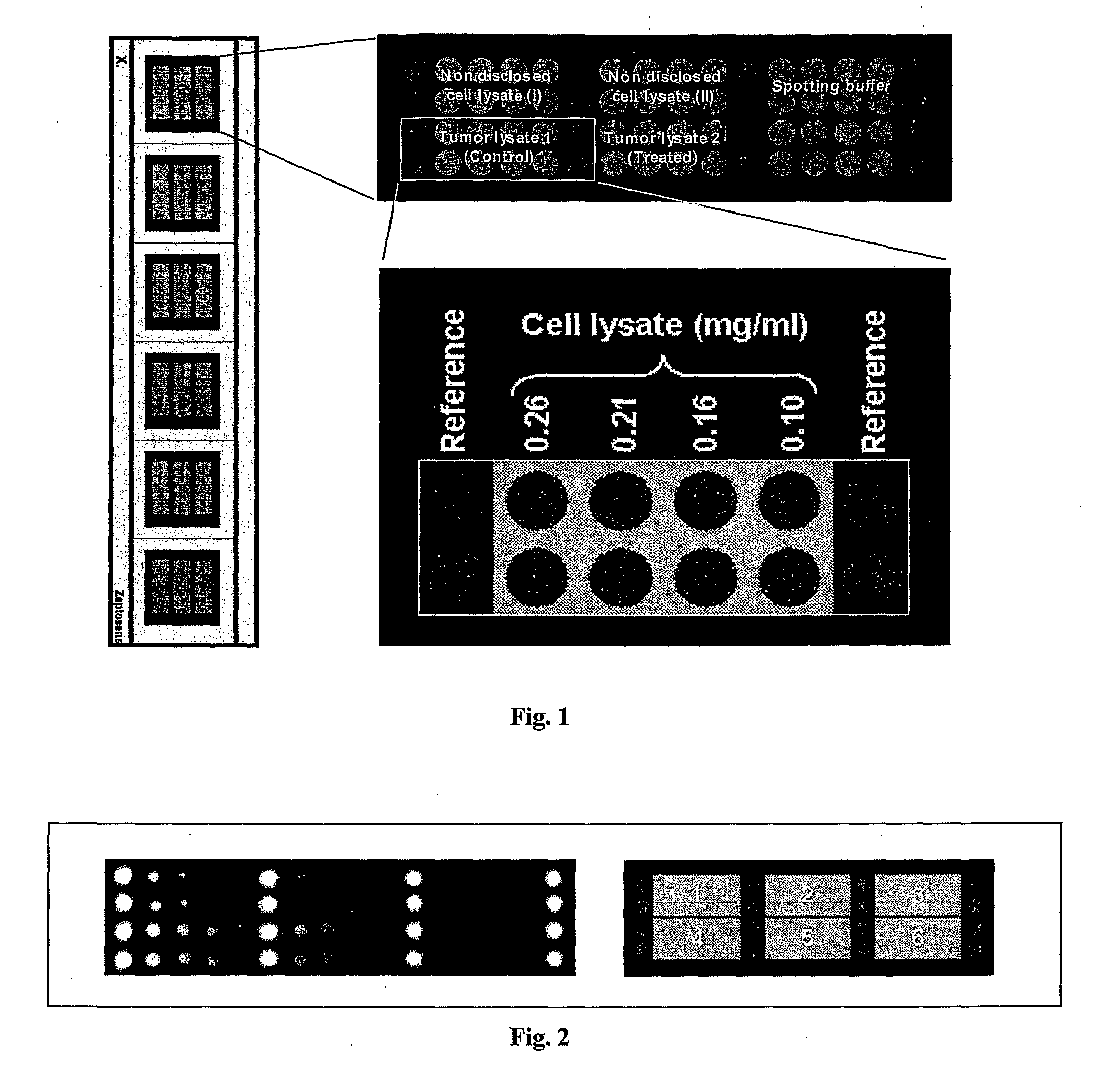 Analytical Platform and Method for Generating Protein Expression Profiles of Cell Populations