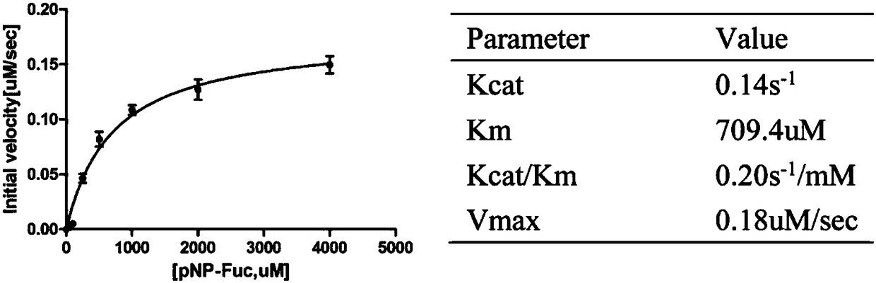 Core fucosidase as well as preparation and application thereof