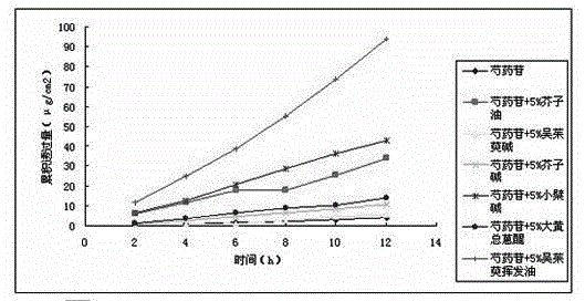 Penetration enhancer and application of penetration enhancer in permeation enhancement