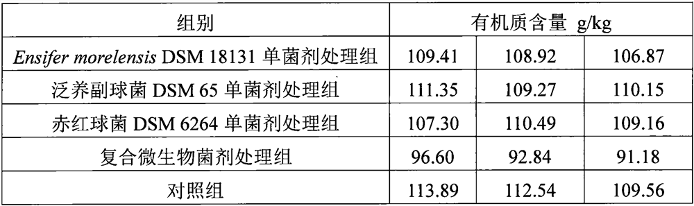 Compound microbial agent for treating black and odorous bottom mud and its application