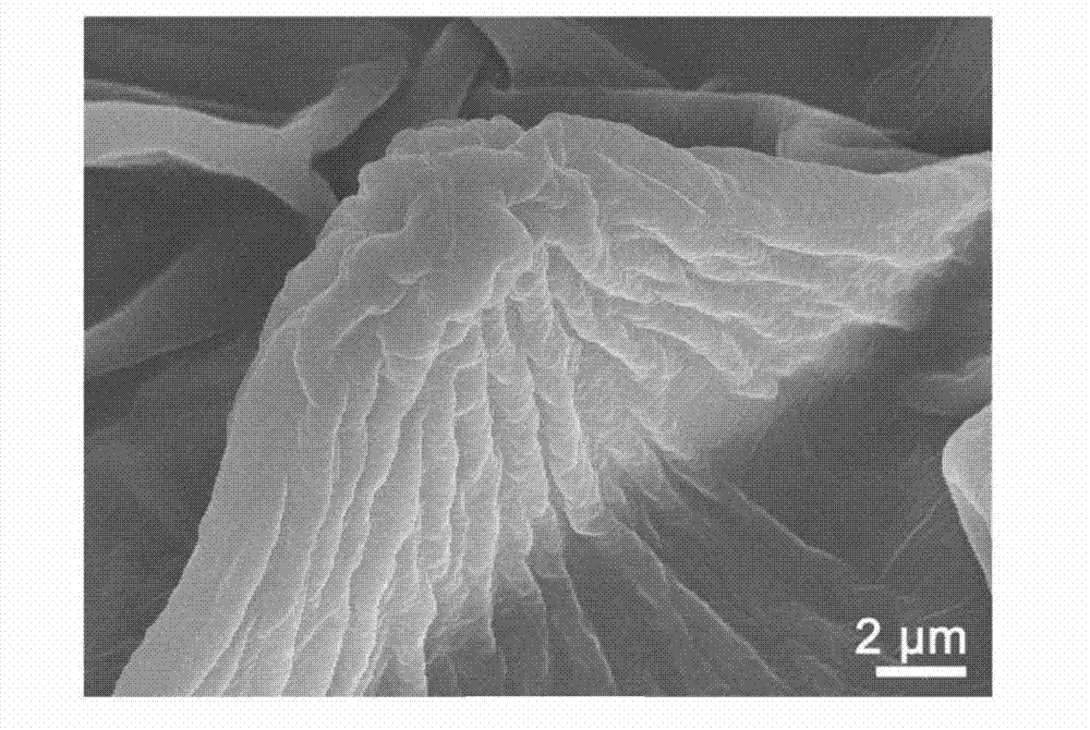 Enhanced Raman detection substrate based on natural biology super-hydrophobic structure surface and preparation method thereof