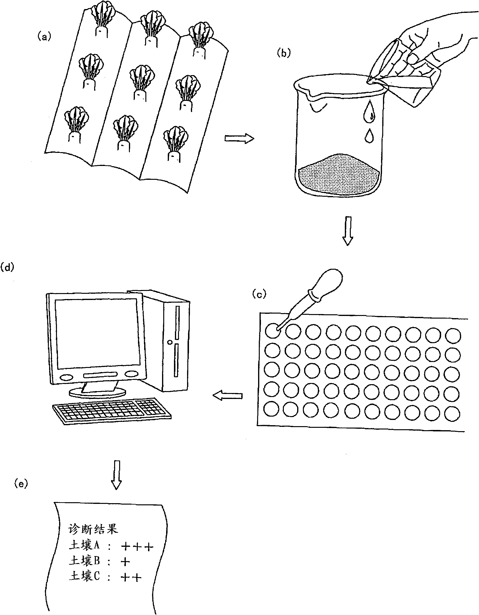 Crop culture degree measuring method for soil and judgment method for origin place camouflage