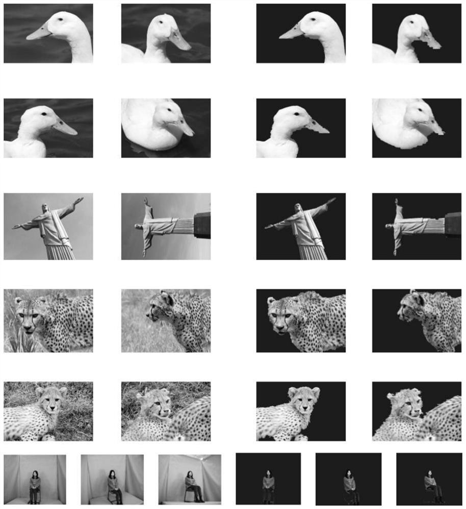 A Cooperative Image Segmentation Method Based on Minimum Fuzzy Divergence